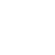 snap-performance